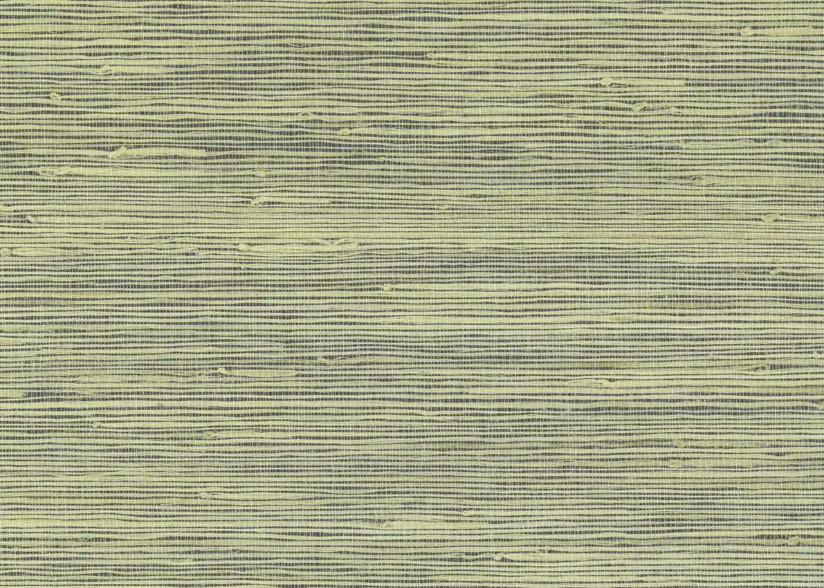 3097 