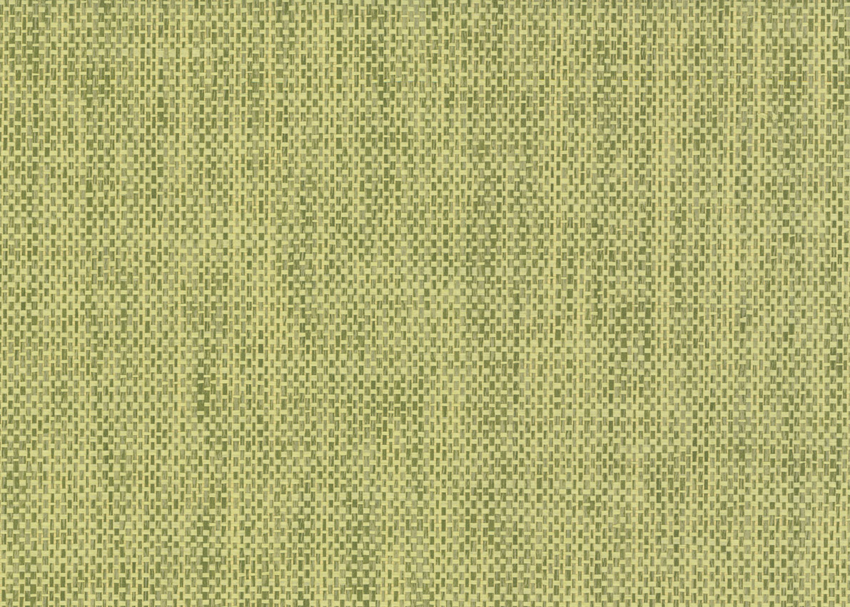 3145 