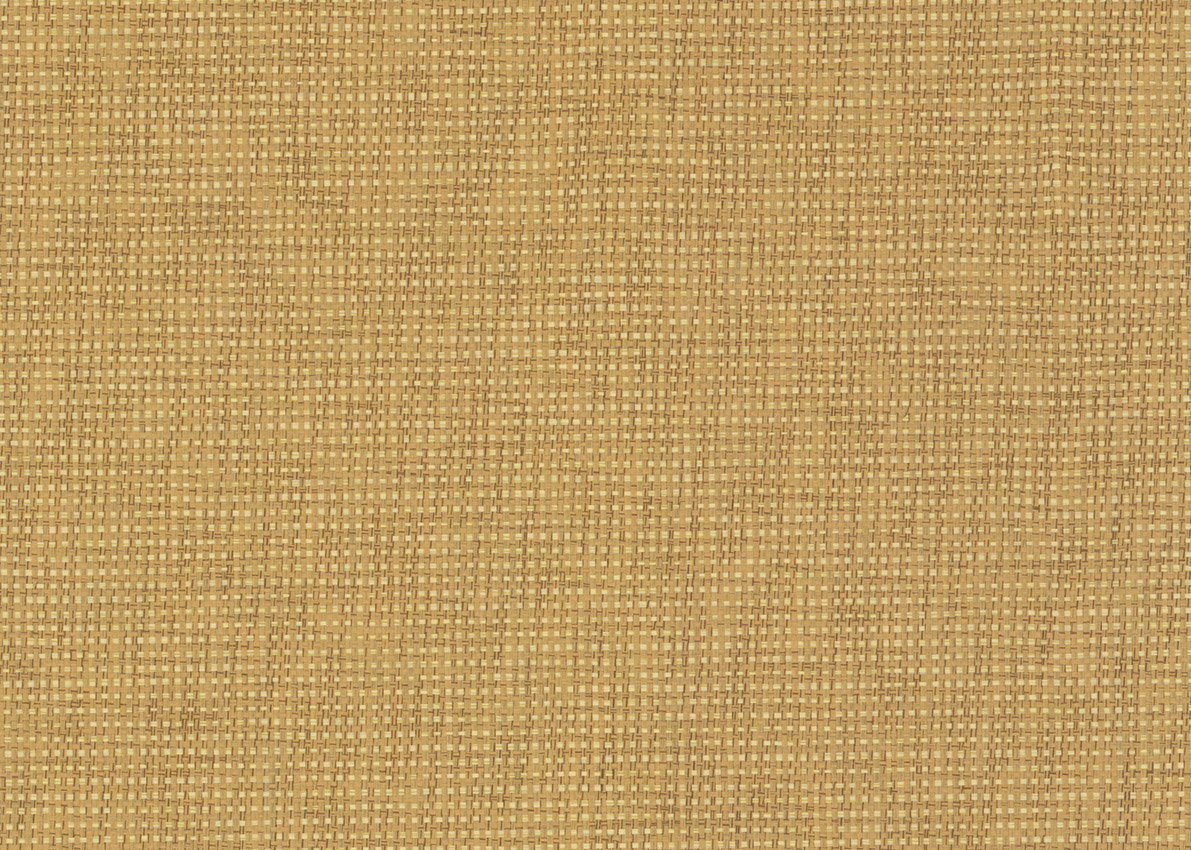 3146 