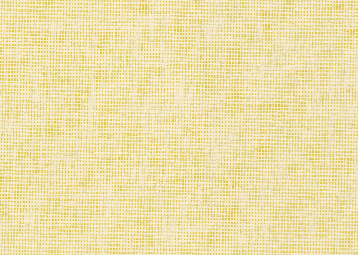 3147 