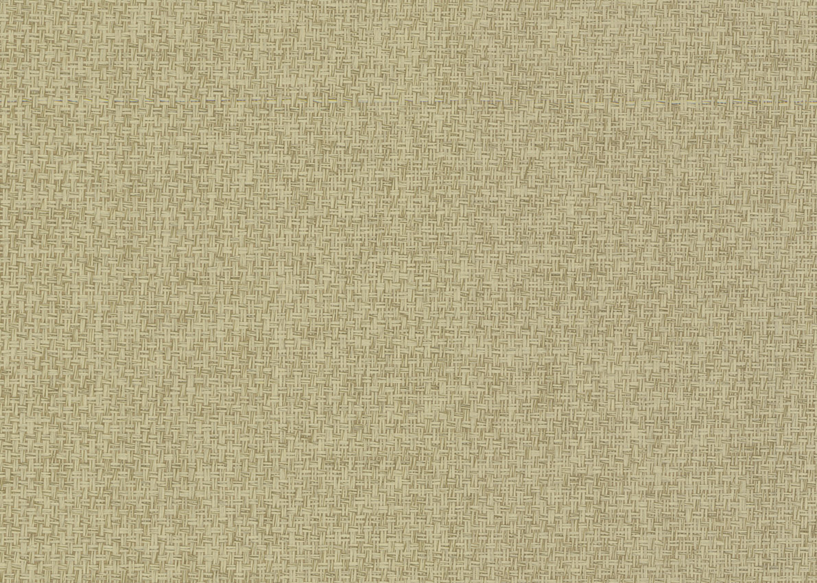 3167 