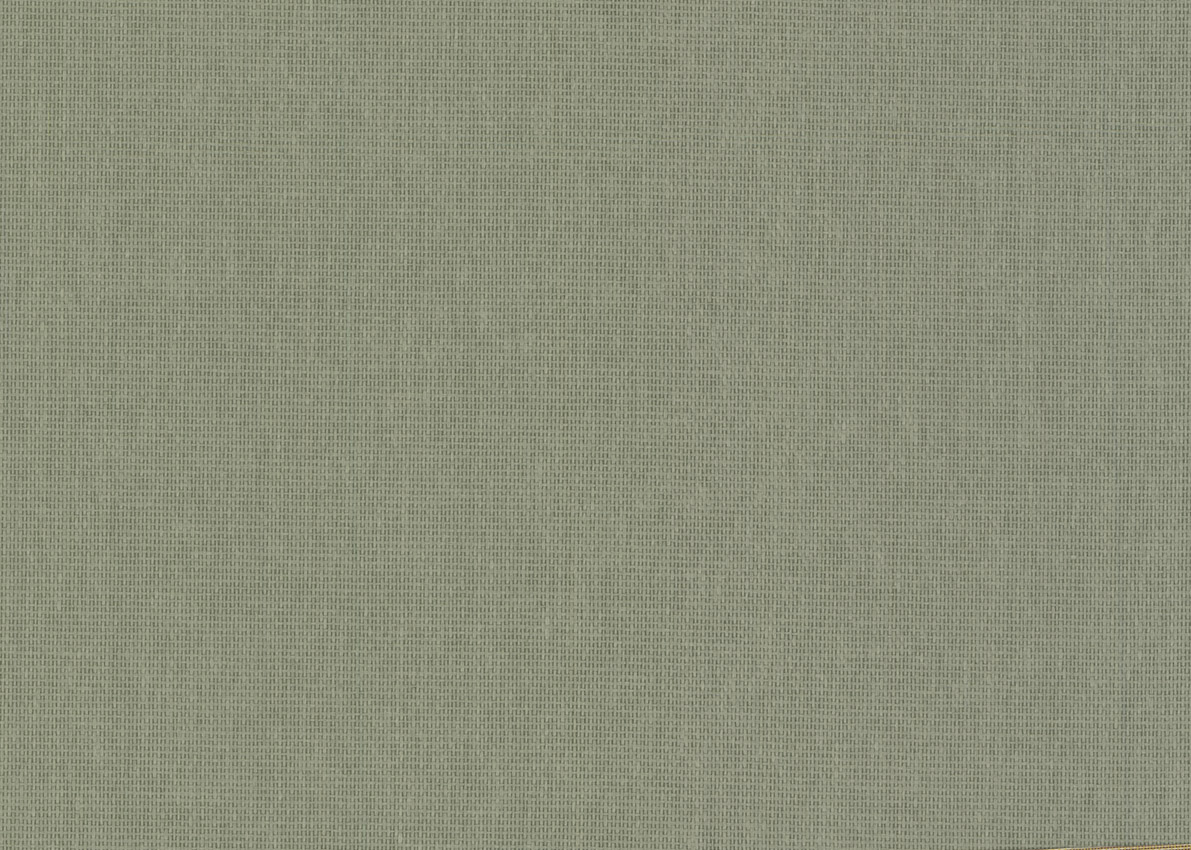 3171 