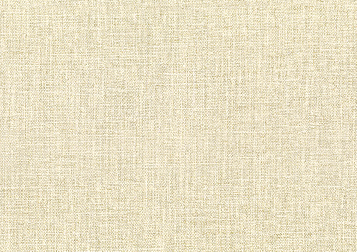 26145