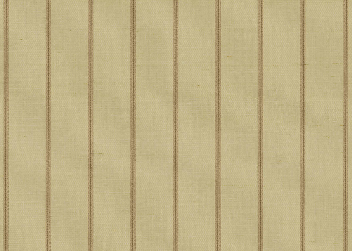 8051 