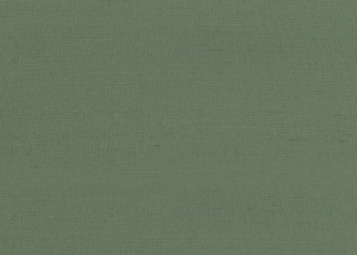 9981 